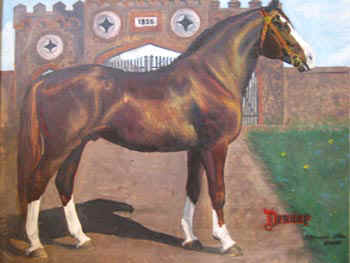 Tori Horses